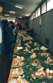 1996funghi